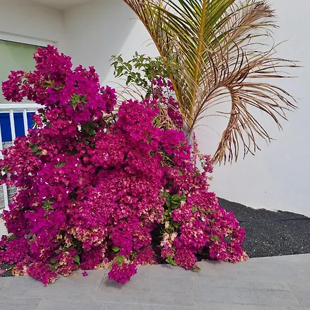 Luxury Sea View Senator Lanzarote Apartament