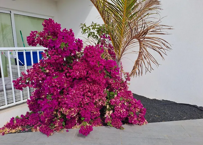 Luxury Sea View Senator Lanzarote דירה